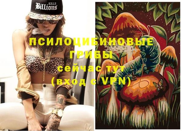эйфоретик Арсеньев