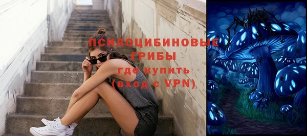 а пвп мука Алзамай